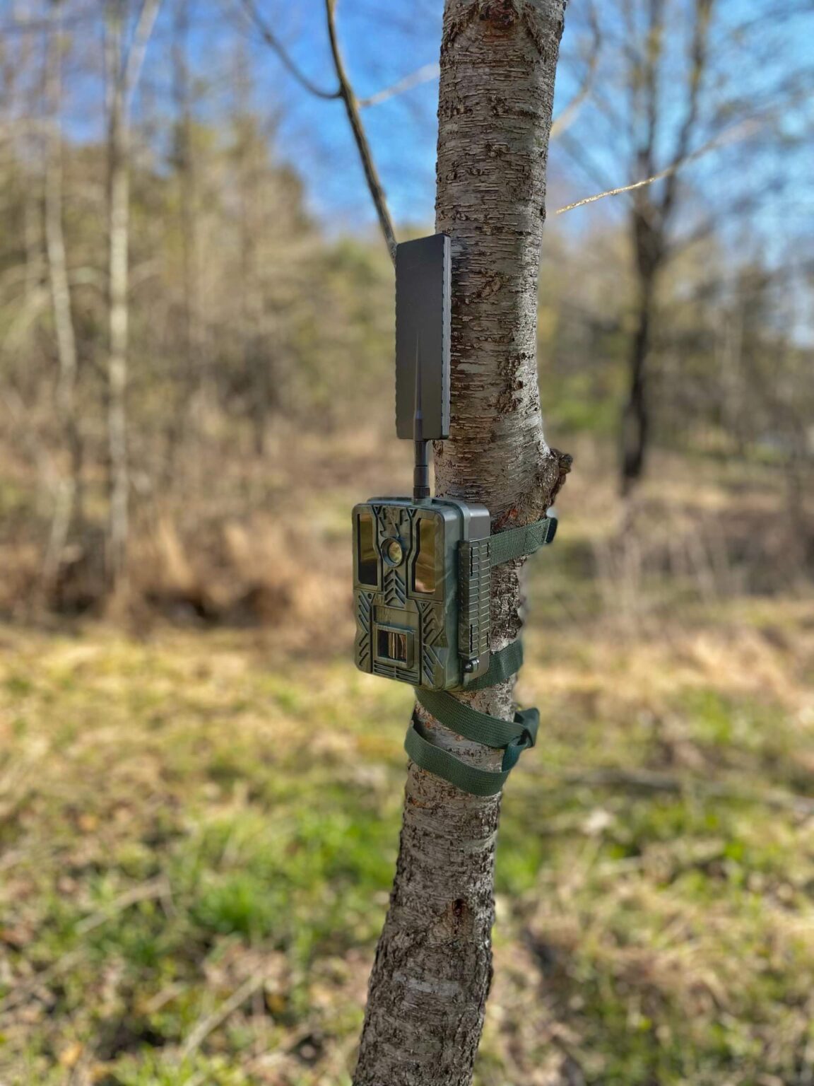 BC30 Cellular Trail Camera Verizon, AT&T, TMobile All on One Sim