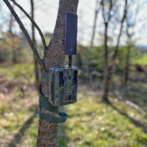 Trail Cameras