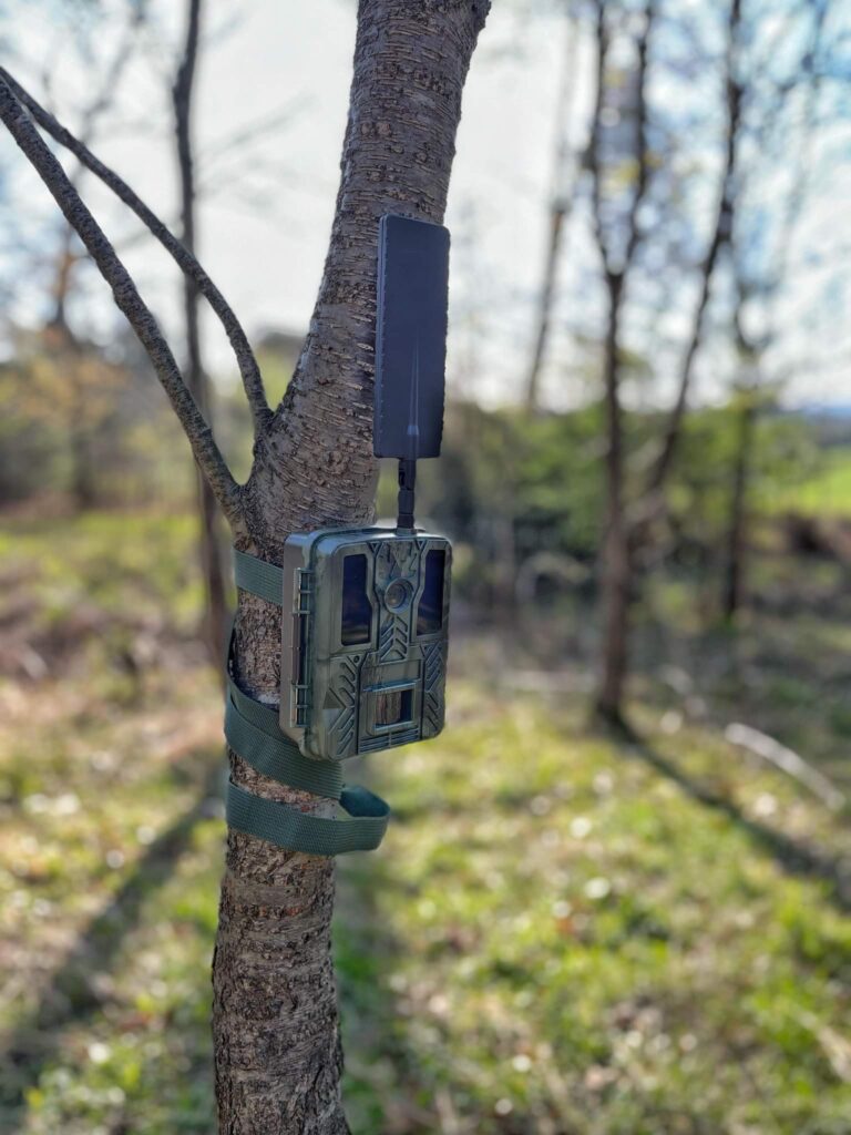 Bow Creek trail camera strapped to a tree